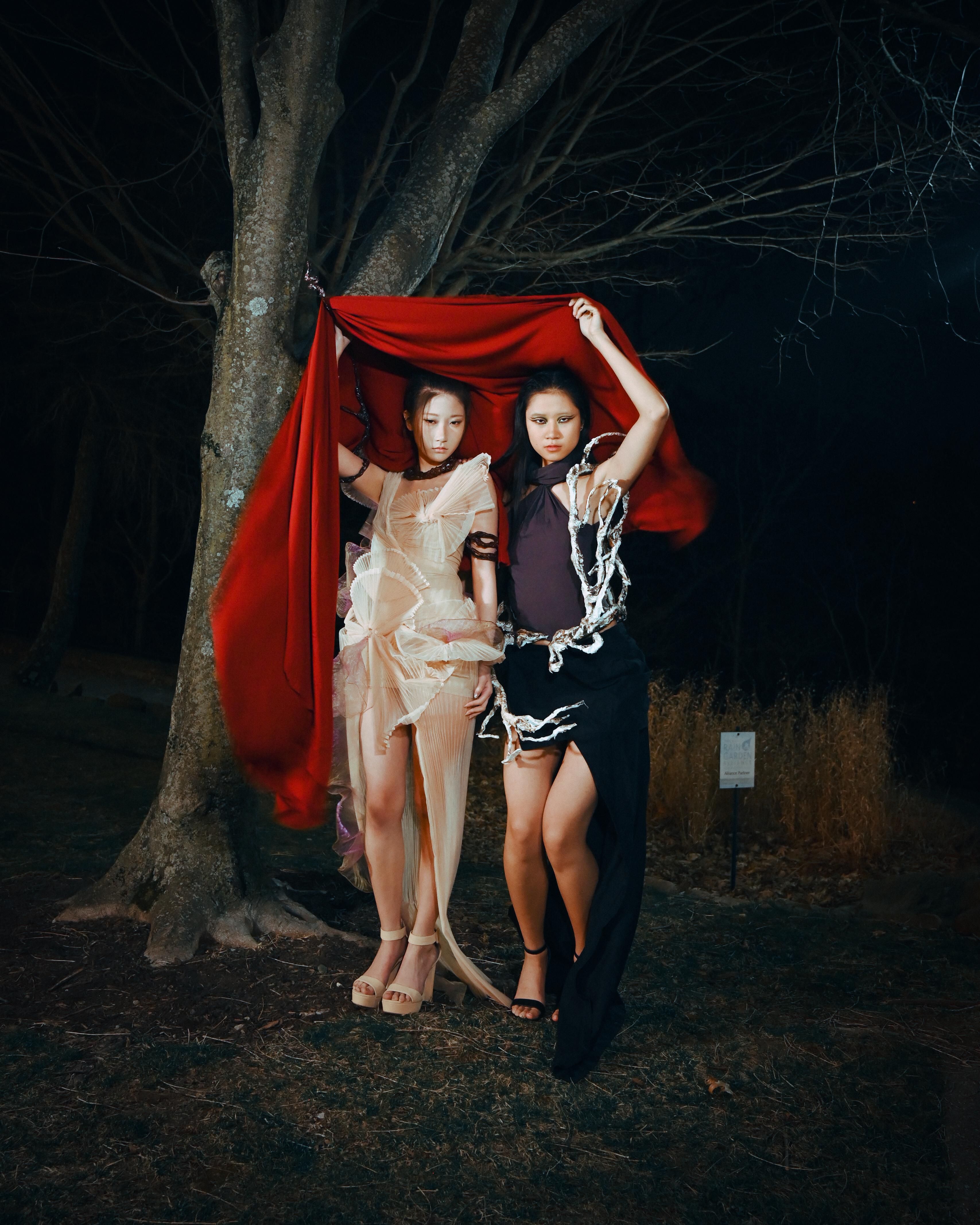 Balance — IMG_1168.JPG