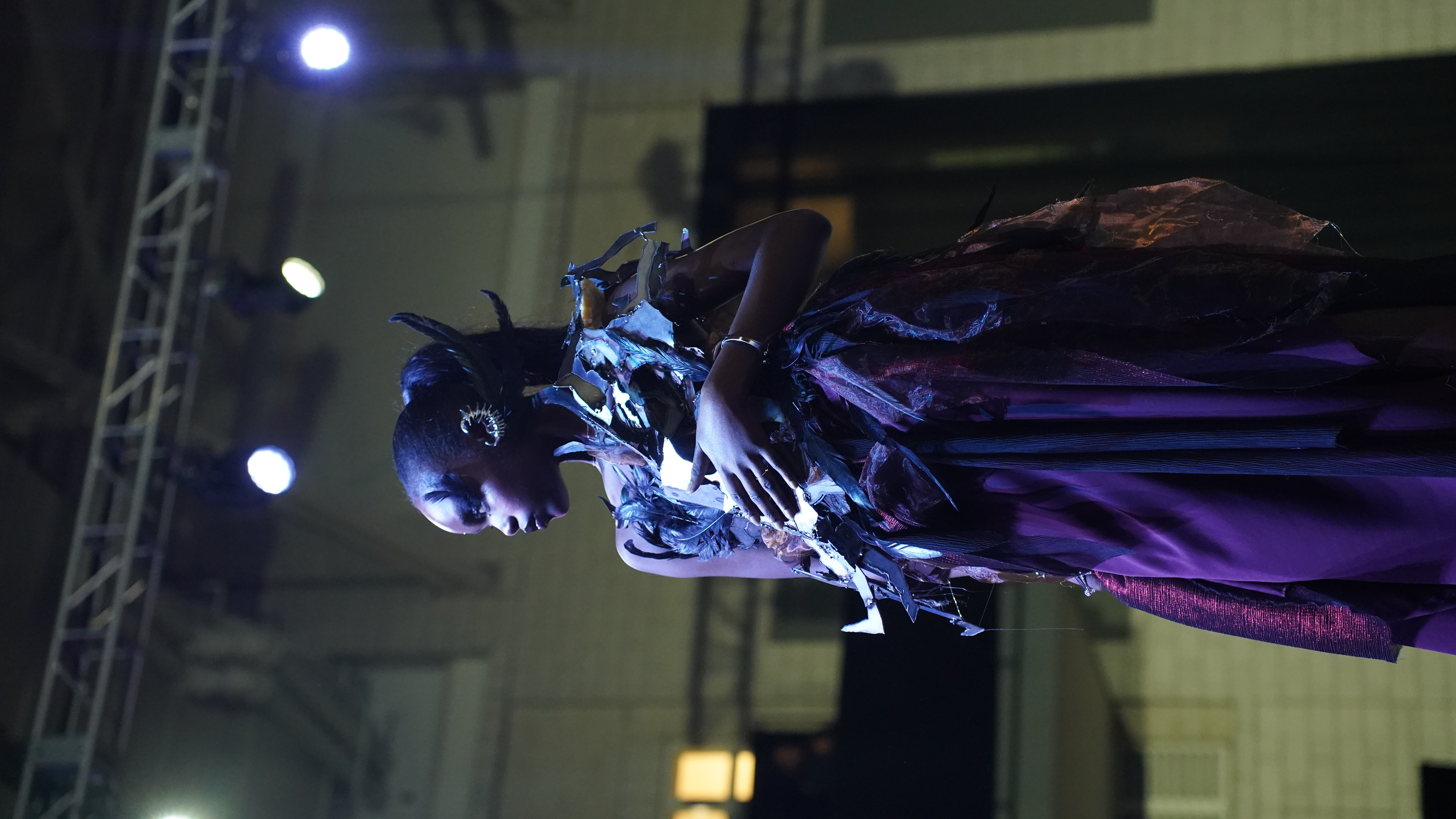 Vestige — DSC02665.JPG