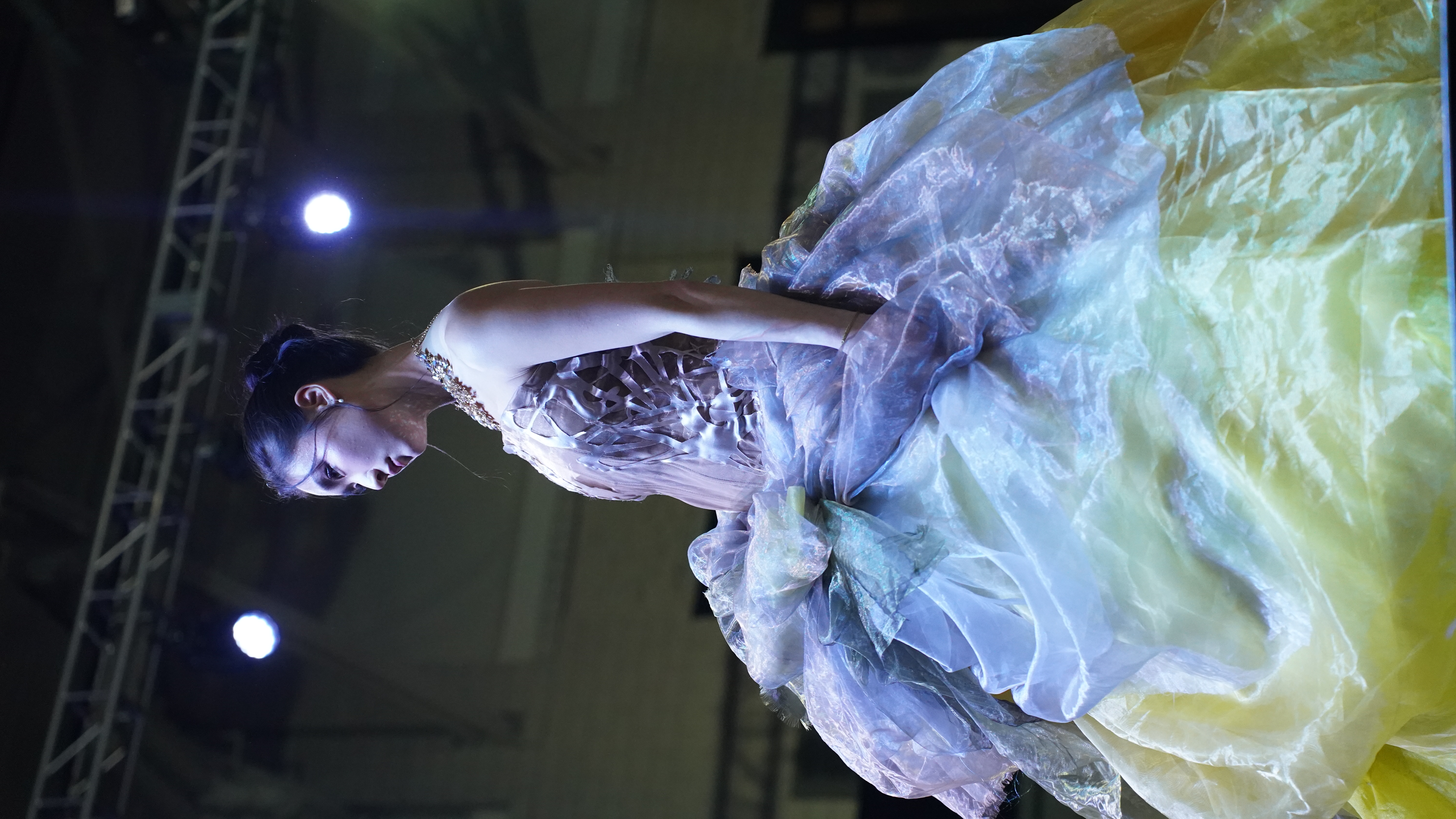 Vestige — DSC02723.JPG