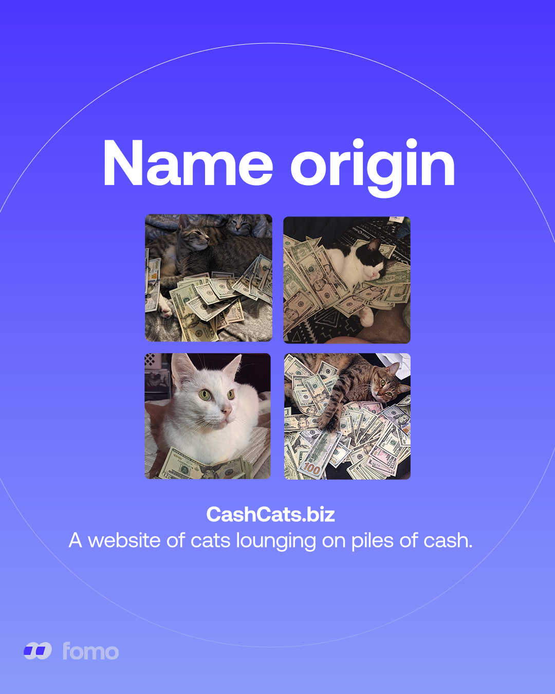 FOMO Cash Cat graphic